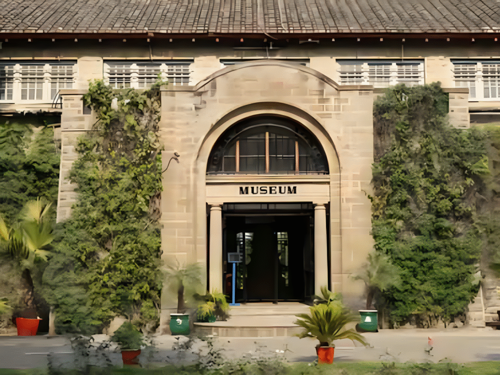 museum1 upscayl 2x upscayl standard 4x